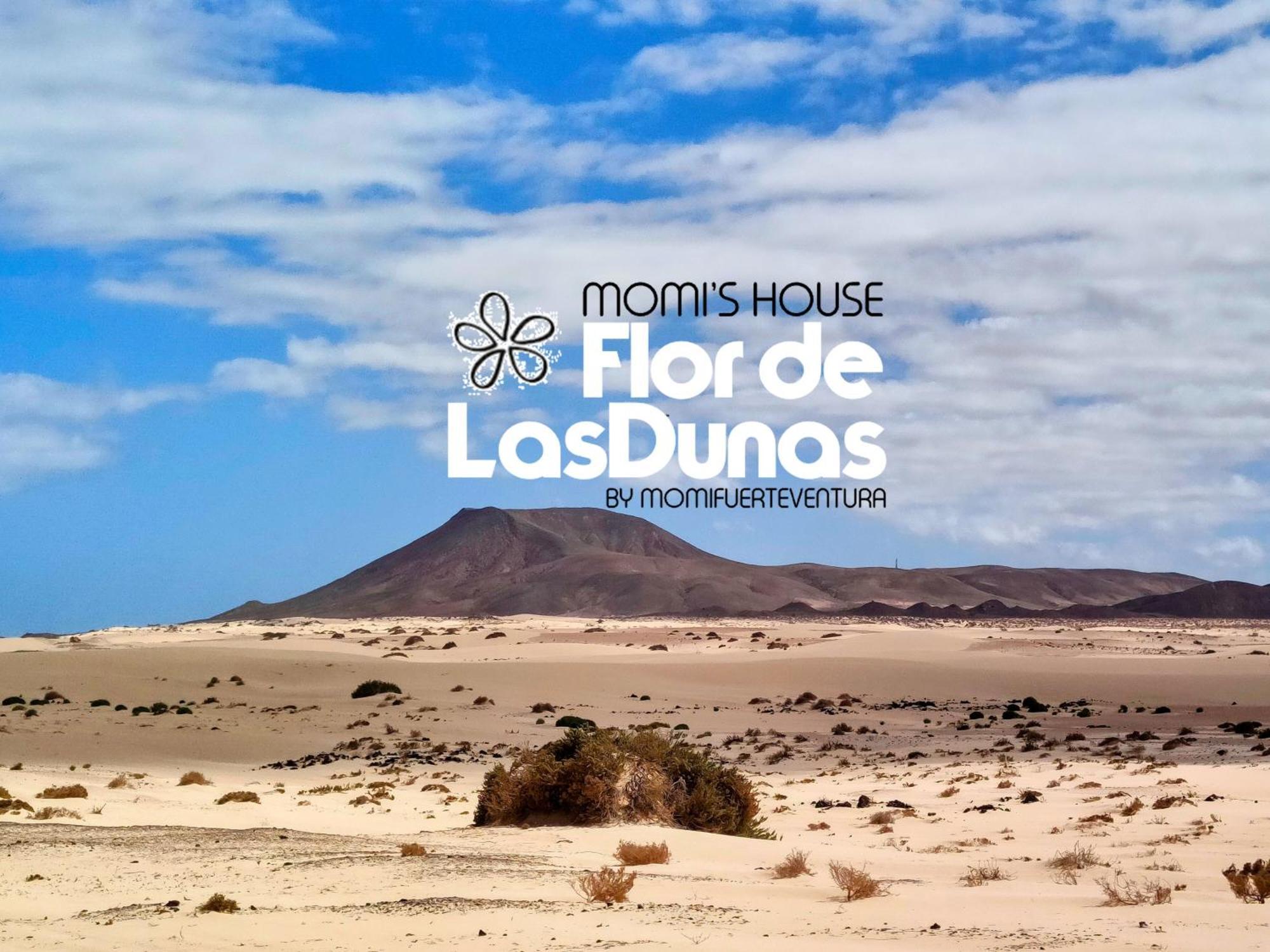 Flor De Las Dunas Pools Wifi Tennis Bikes For Free كوراليهو المظهر الخارجي الصورة